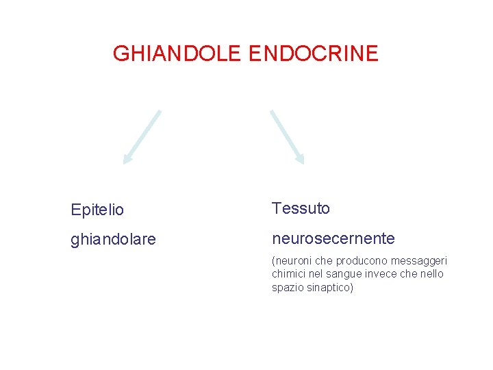 GHIANDOLE ENDOCRINE Epitelio Tessuto ghiandolare neurosecernente (neuroni che producono messaggeri chimici nel sangue invece