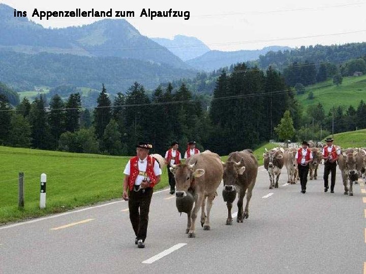 ins Appenzellerland zum Alpaufzug 