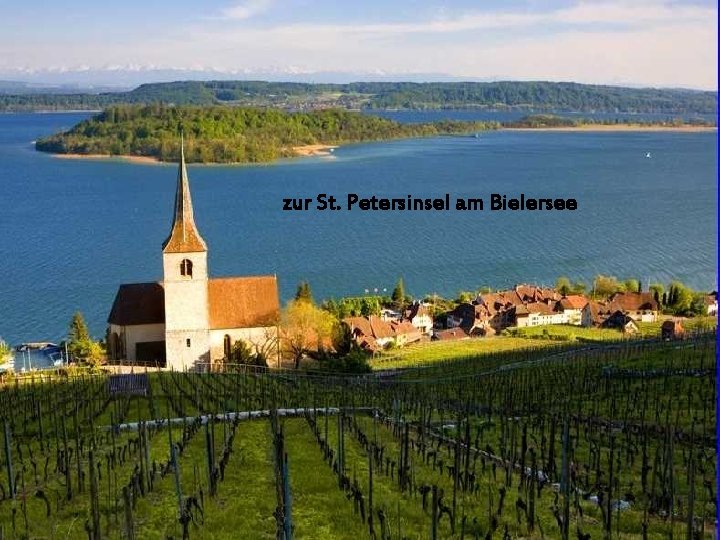zur St. Petersinsel am Bielersee 