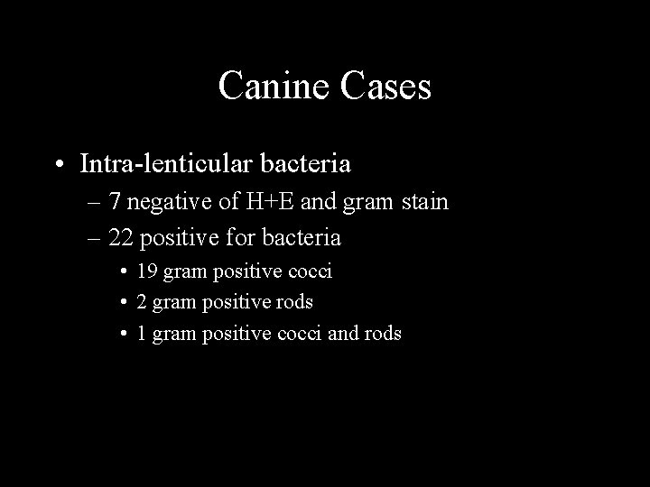 Canine Cases • Intra-lenticular bacteria – 7 negative of H+E and gram stain –