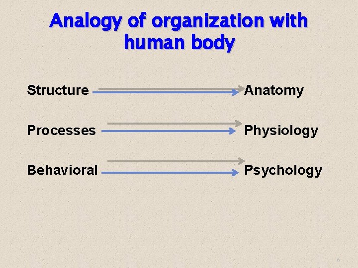 Analogy of organization with human body Structure Anatomy Processes Physiology Behavioral Psychology 6 