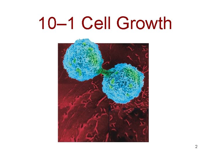 10– 1 Cell Growth 2 10– 1 Cell Growth 2