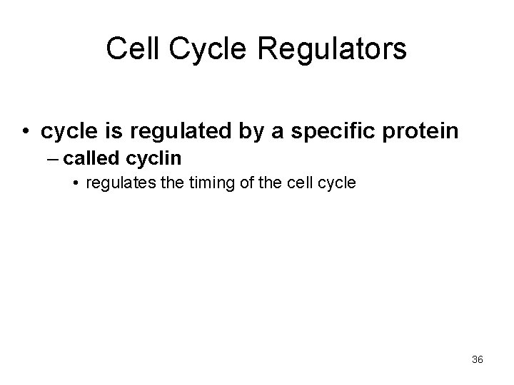 Cell Cycle Regulators • cycle is regulated by a specific protein – called cyclin Cell Cycle Regulators • cycle is regulated by a specific protein – called cyclin