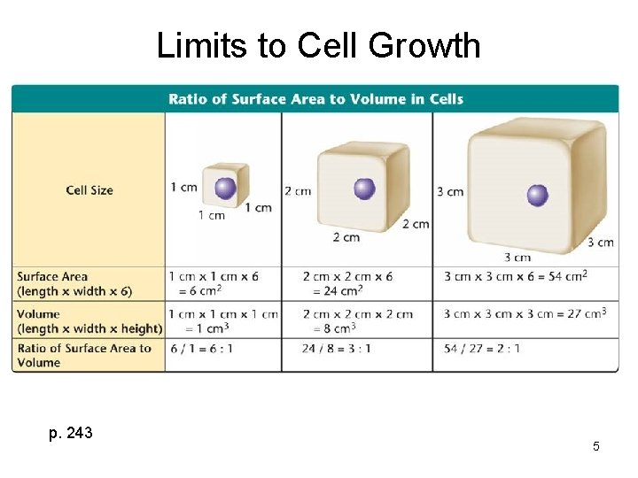 Limits to Cell Growth p. 243 5 Limits to Cell Growth p. 243 5