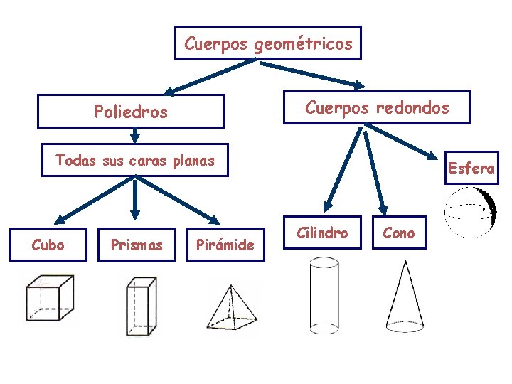 Cuerpos geométricos Cuerpos redondos Poliedros Todas sus caras planas Cubo Prismas Pirámide Esfera Cilindro