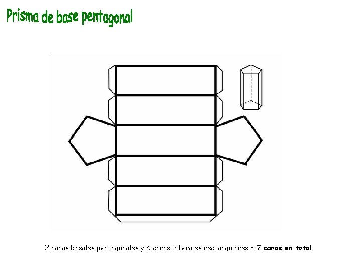 2 caras basales pentagonales y 5 caras laterales rectangulares = 7 caras en total