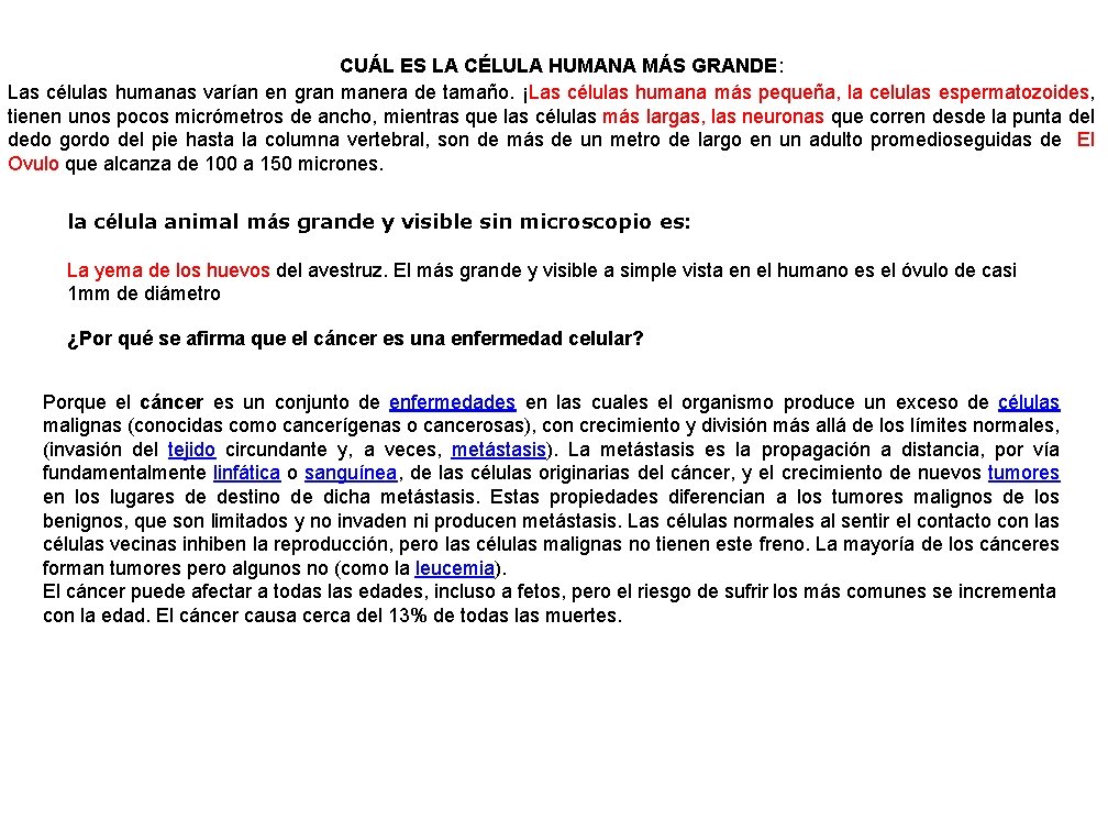 CUÁL ES LA CÉLULA HUMANA MÁS GRANDE: Las células humanas varían en gran manera