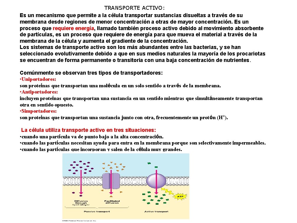 TRANSPORTE ACTIVO: Es un mecanismo que permite a la célula transportar sustancias disueltas a