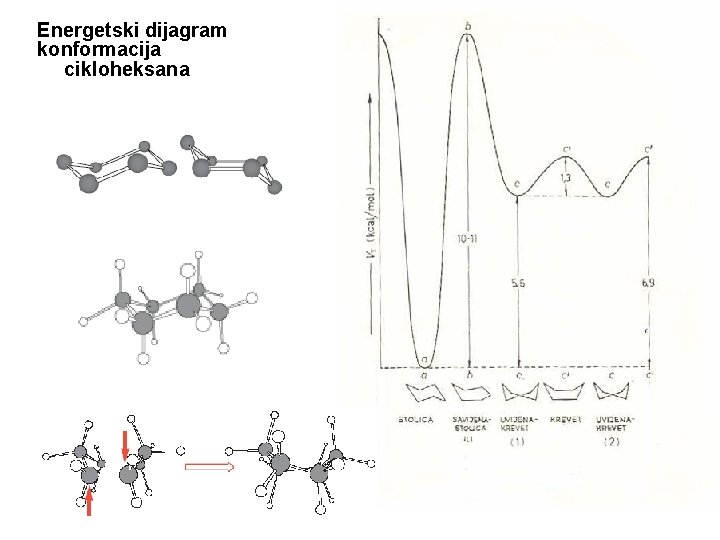 Energetski dijagram konformacija cikloheksana 