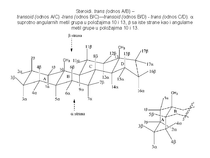 Steroidi. trans (odnos A/B) – transoid (odnos A/C) -trans (odnos B/C)—transoid (odnos B/D) -