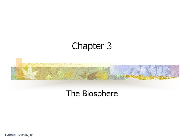 Chapter 3 The Biosphere Edward Terzian, Jr. 