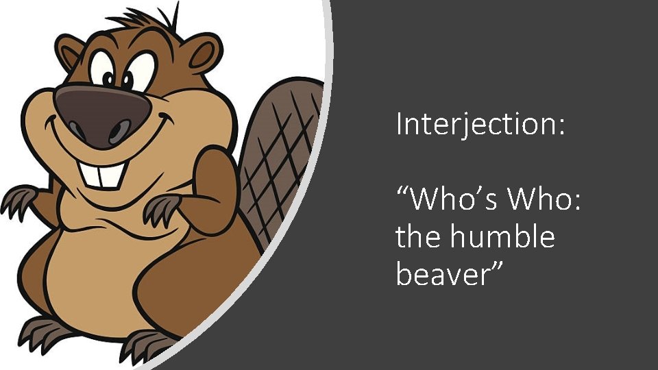 Interjection: “Who’s Who: the humble beaver” 