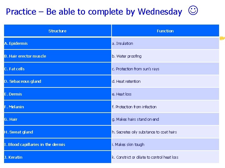 Practice – Be able to complete by Wednesday Structure Function A. Epidermis a. Insulation