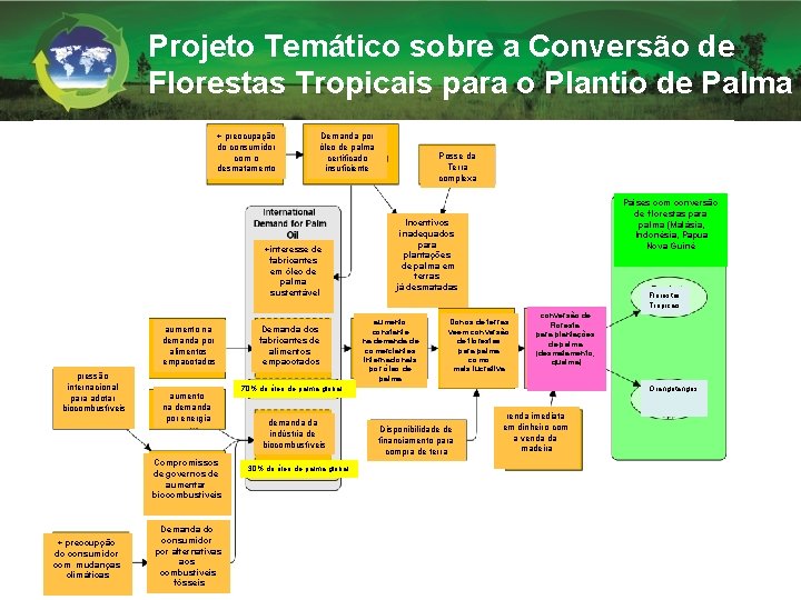 Projeto Temático sobre a Conversão de Florestas Tropicais para o Plantio de Palma +