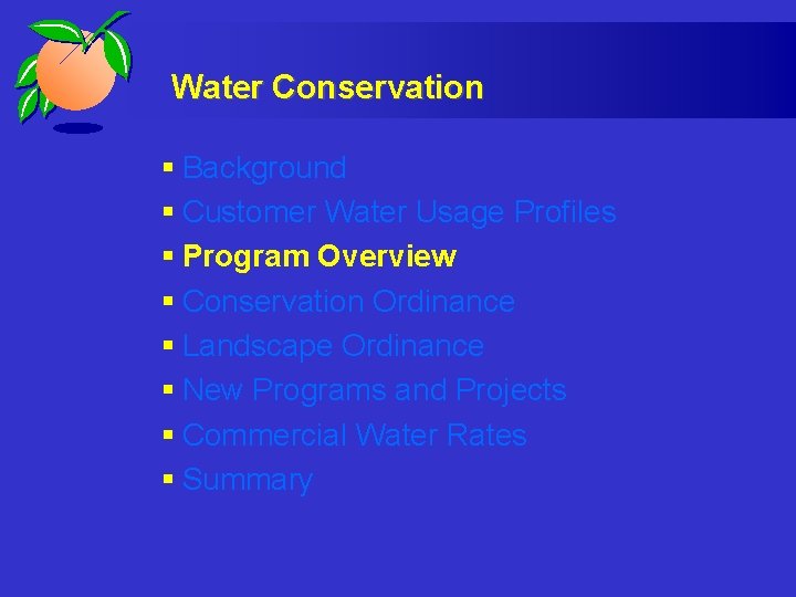 Water Conservation § Background § Customer Water Usage Profiles § Program Overview § Conservation