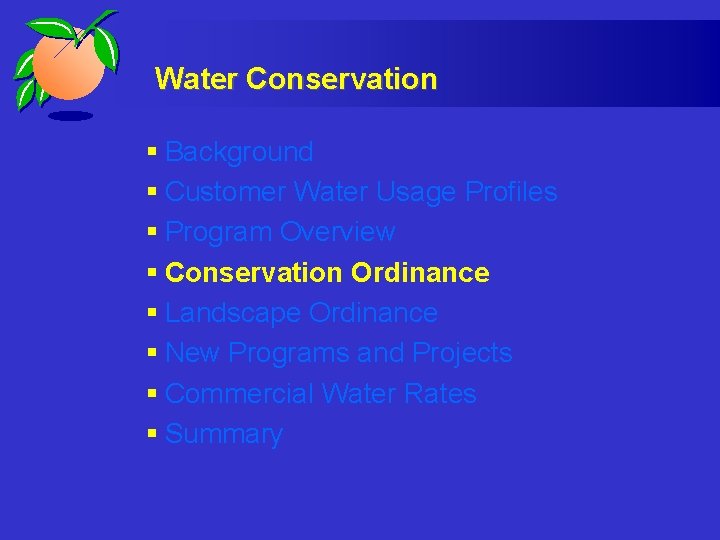 Water Conservation § Background § Customer Water Usage Profiles § Program Overview § Conservation