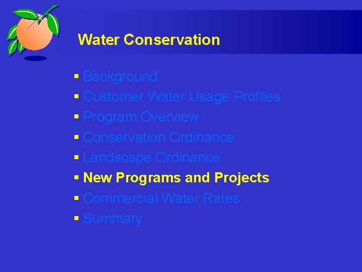 Water Conservation § Background § Customer Water Usage Profiles § Program Overview § Conservation