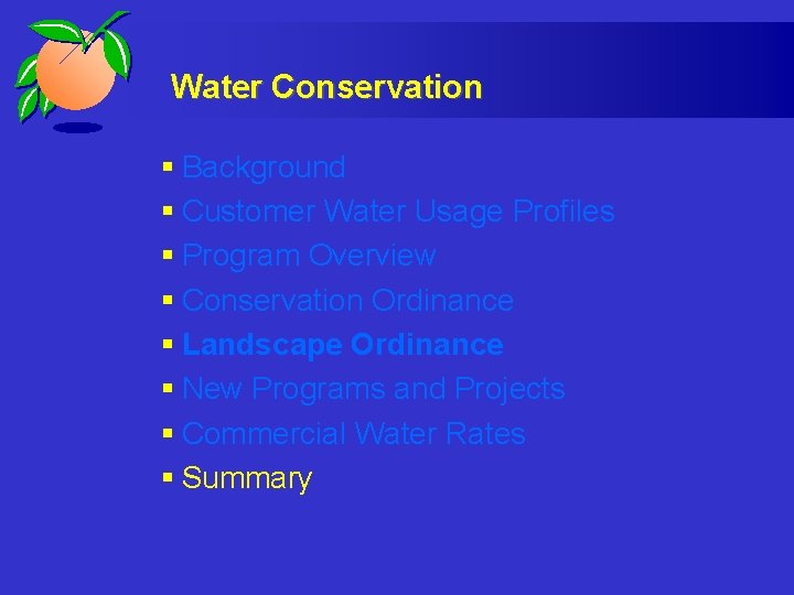 Water Conservation § Background § Customer Water Usage Profiles § Program Overview § Conservation