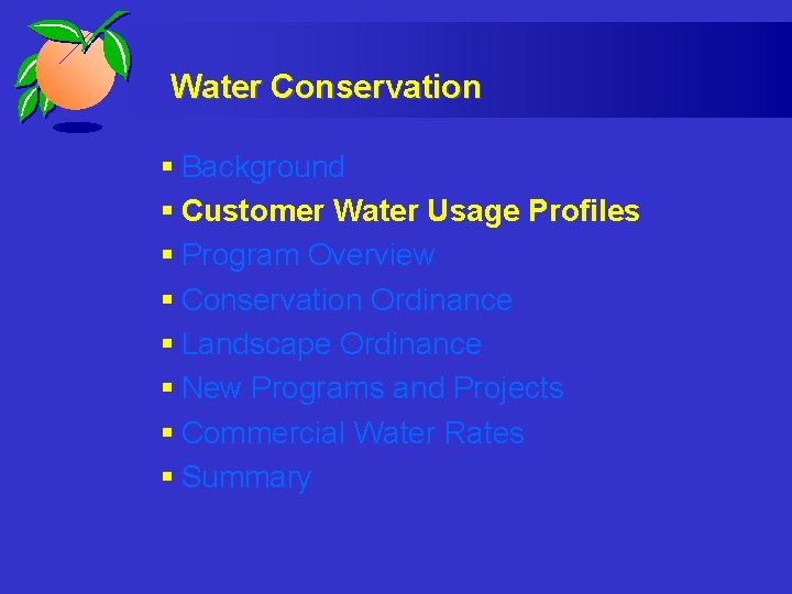 Water Conservation § Background § Customer Water Usage Profiles § Program Overview § Conservation