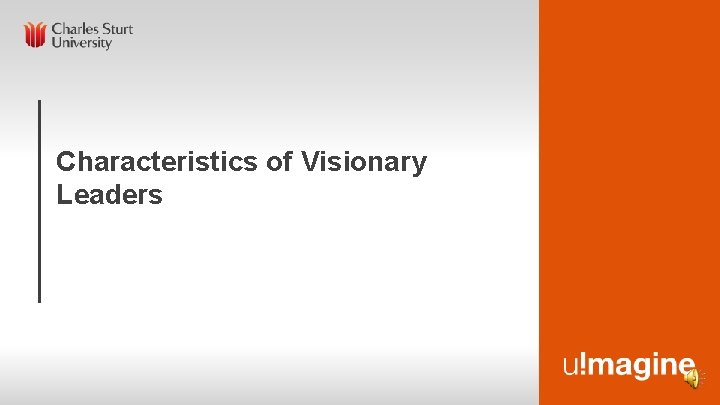 Characteristics of Visionary Leaders 