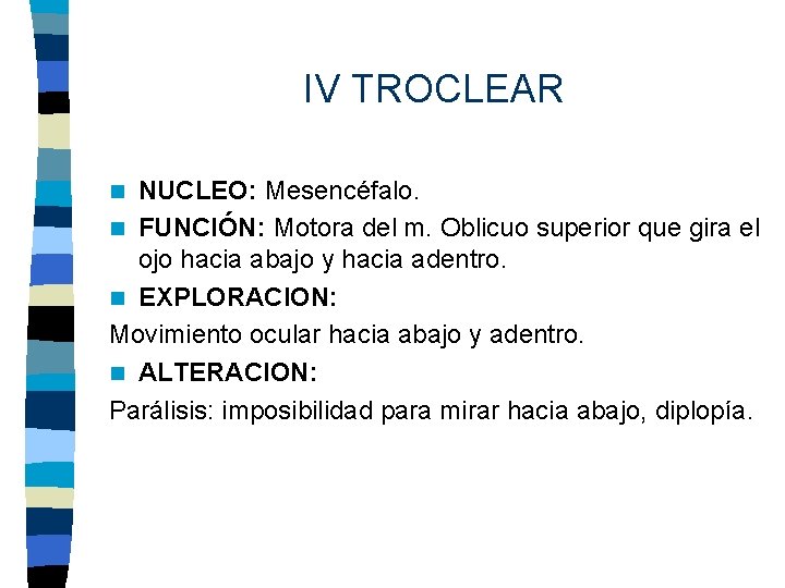IV TROCLEAR NUCLEO: Mesencéfalo. n FUNCIÓN: Motora del m. Oblicuo superior que gira el