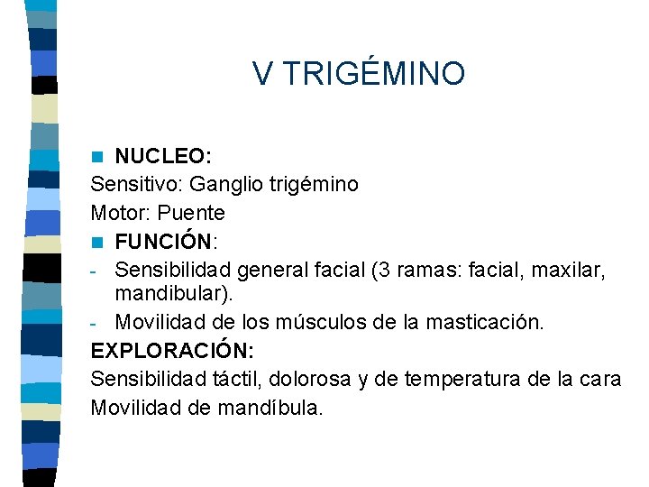 V TRIGÉMINO NUCLEO: Sensitivo: Ganglio trigémino Motor: Puente n FUNCIÓN: - Sensibilidad general facial