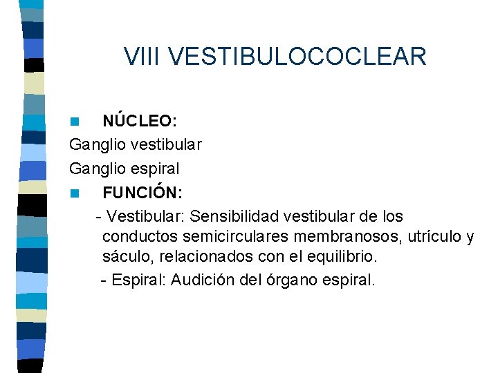 VIII VESTIBULOCOCLEAR NÚCLEO: Ganglio vestibular Ganglio espiral n FUNCIÓN: - Vestibular: Sensibilidad vestibular de