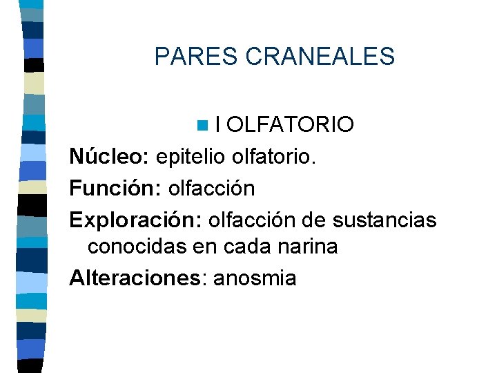 PARES CRANEALES n. I OLFATORIO Núcleo: epitelio olfatorio. Función: olfacción Exploración: olfacción de sustancias