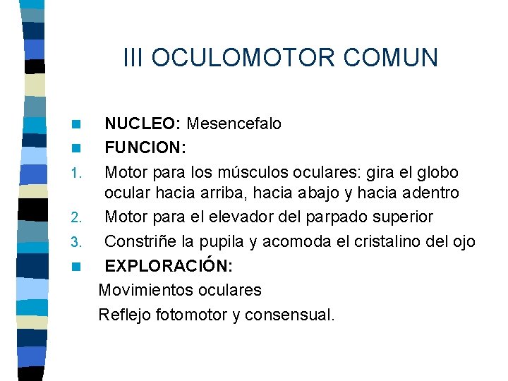 III OCULOMOTOR COMUN NUCLEO: Mesencefalo n FUNCION: 1. Motor para los músculos oculares: gira