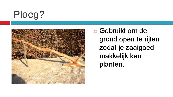 Ploeg? Gebruikt om de grond open te rijten zodat je zaaigoed makkelijk kan planten.