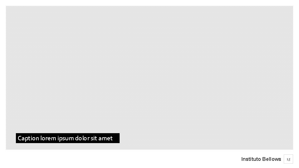 Caption lorem ipsum dolor sit amet Instituto Bellows 15 