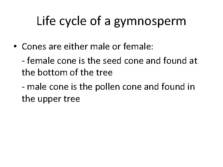 Life cycle of a gymnosperm • Cones are either male or female: - female