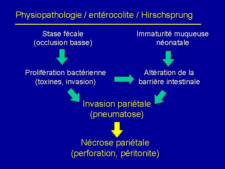 Physiopathologie / entérocolite / Hirschsprung Stase fécale (occlusion basse) Prolifération bactérienne (toxines, invasion) Immaturité