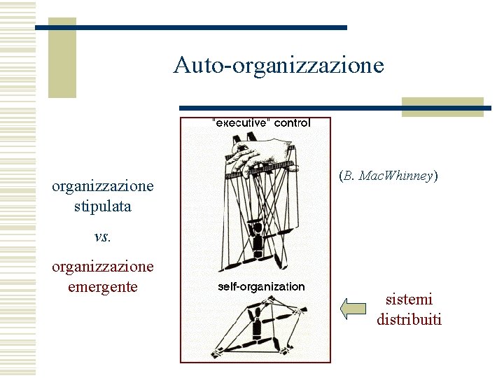 Auto-organizzazione stipulata (B. Mac. Whinney) vs. organizzazione emergente sistemi distribuiti 