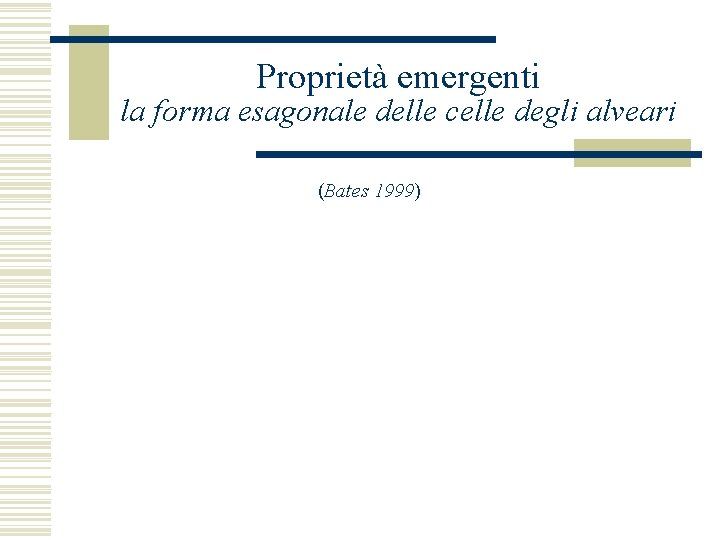 Proprietà emergenti la forma esagonale delle celle degli alveari (Bates 1999) 