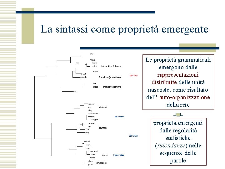 La sintassi come proprietà emergente Le proprietà grammaticali emergono dalle rappresentazioni distribuite delle unità