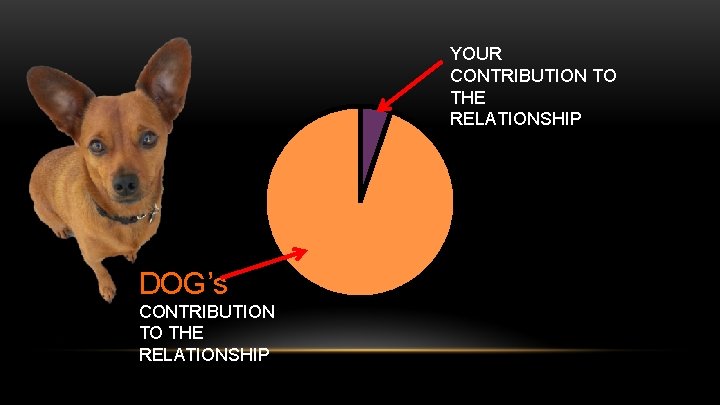 YOUR CONTRIBUTION TO THE RELATIONSHIP DOG’s CONTRIBUTION TO THE RELATIONSHIP 