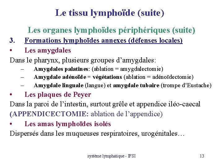 Le tissu lymphoïde (suite) Les organes lymphoïdes périphériques (suite) 3. Formations lymphoïdes annexes (défenses