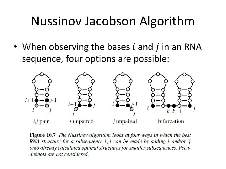 Nussinov Jacobson Algorithm • 