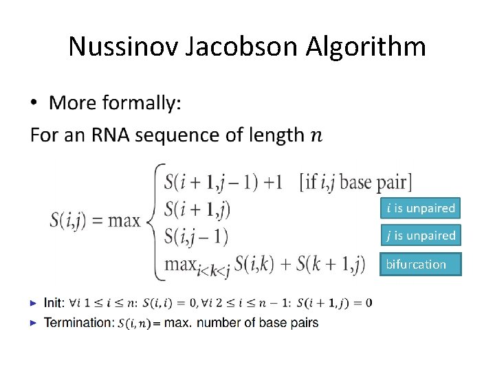 Nussinov Jacobson Algorithm • bifurcation 