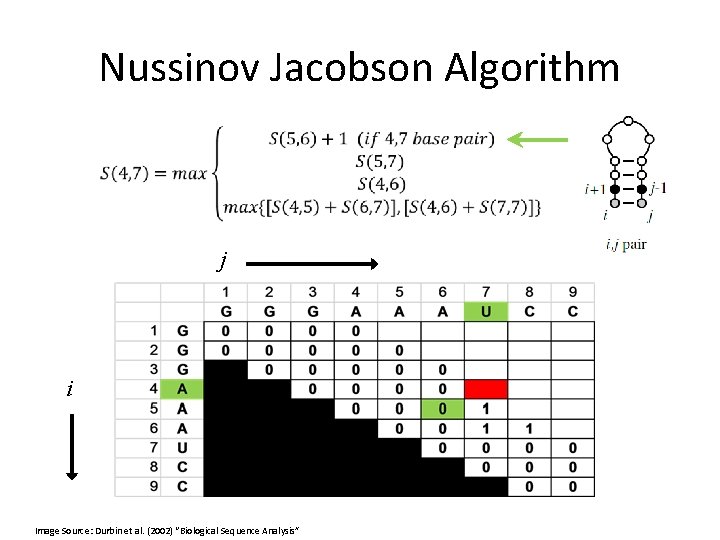 Nussinov Jacobson Algorithm j i Image Source: Durbin et al. (2002) “Biological Sequence Analysis”