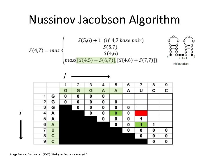 Nussinov Jacobson Algorithm j i Image Source: Durbin et al. (2002) “Biological Sequence Analysis”