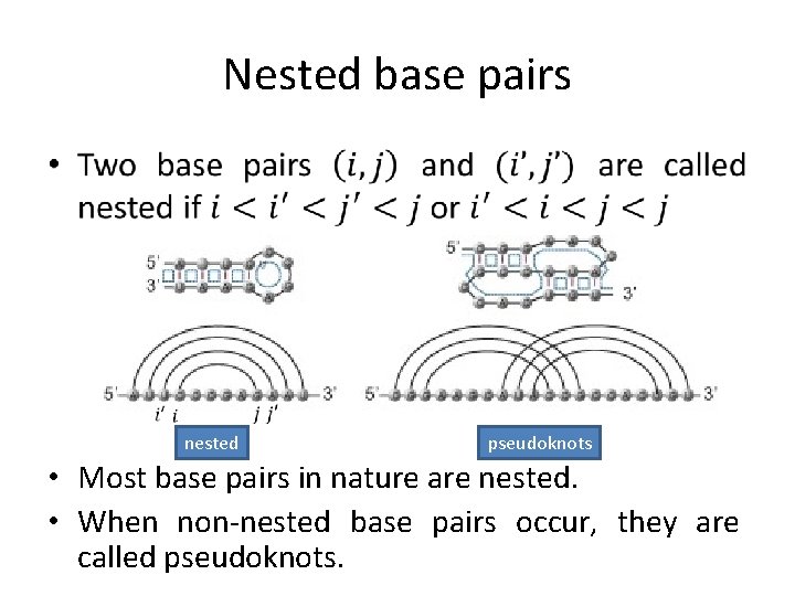 Nested base pairs • nested pseudoknots • Most base pairs in nature are nested.