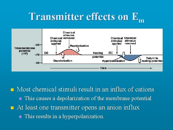 Transmitter effects on Em n Most chemical stimuli result in an influx of cations