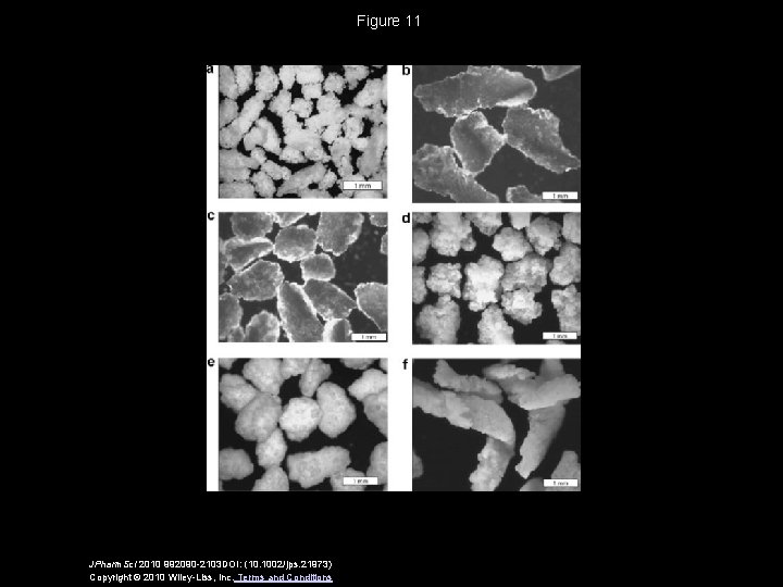 Figure 11 JPharm. Sci 2010 992090 -2103 DOI: (10. 1002/jps. 21973) Copyright © 2010