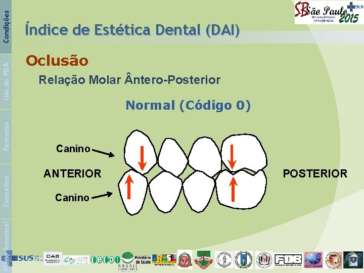 Condições Uso do PDA Percurso Conceitos Plano Amostral Índice de Estética Dental (DAI) Oclusão