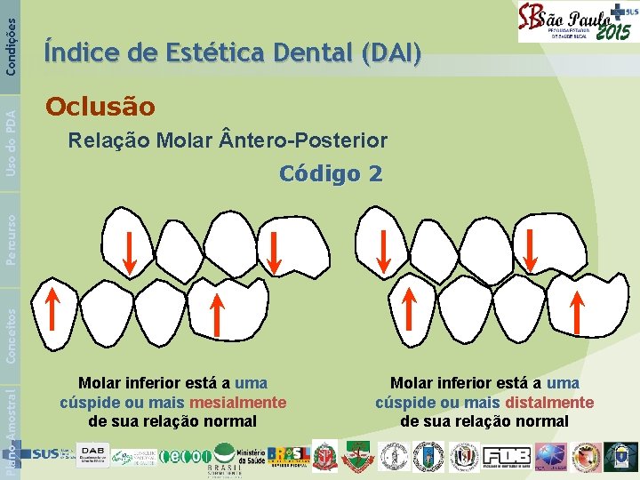 Oclusão Relação Molar ntero-Posterior Código 2 Condições Plano Amostral Conceitos Percurso Uso do PDA