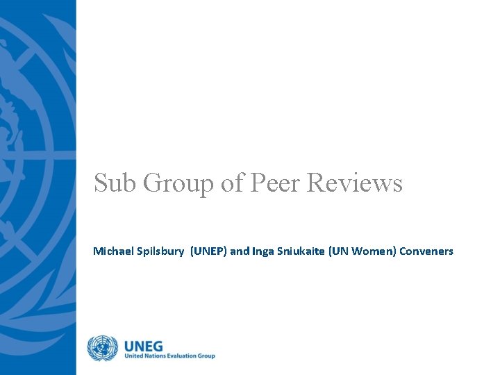 Sub Group of Peer Reviews Michael Spilsbury (UNEP) and Inga Sniukaite (UN Women) Conveners