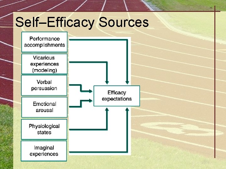 Self–Efficacy Sources 