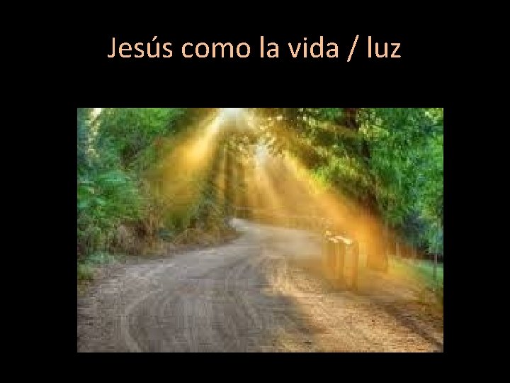 Jesús como la vida / luz 